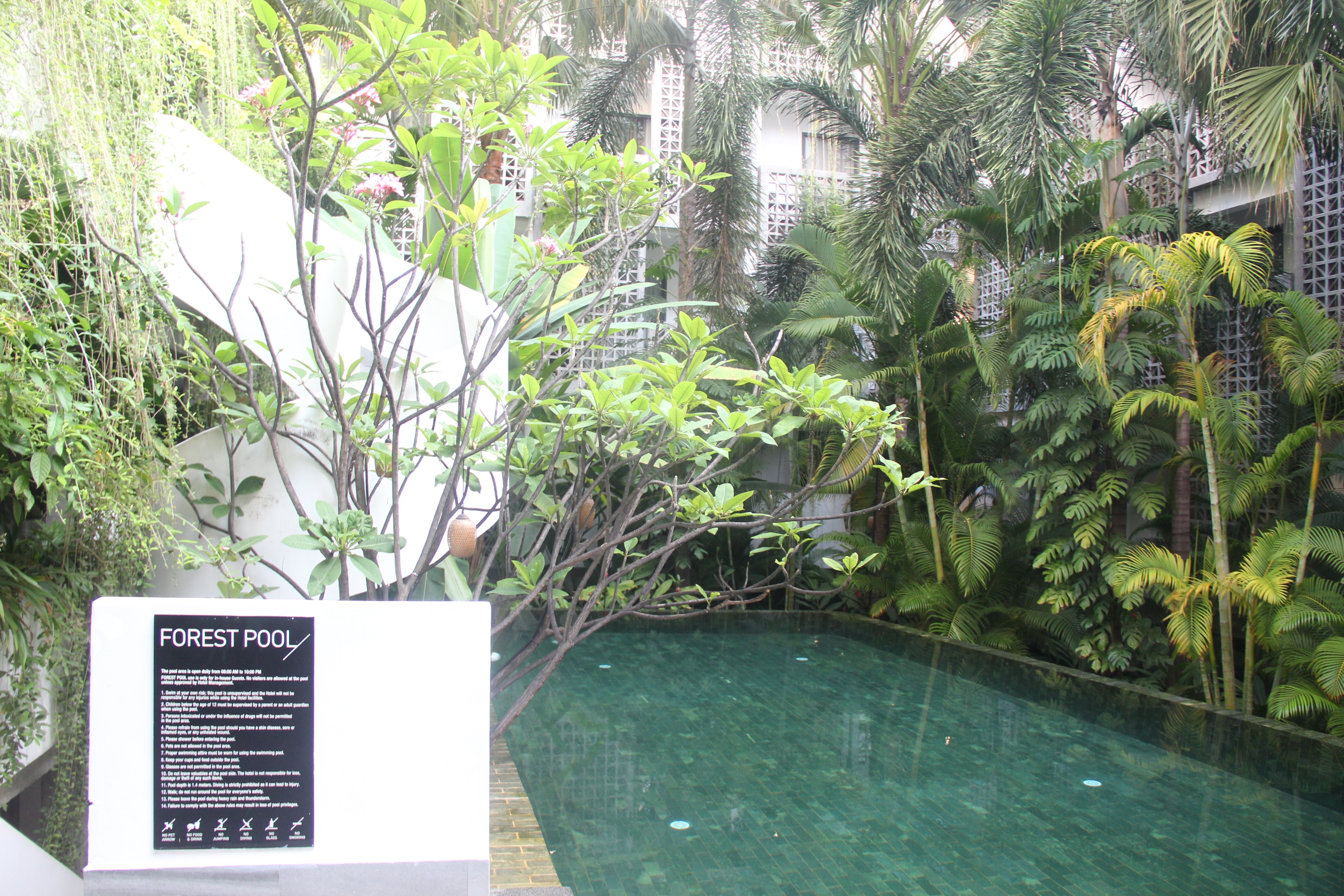 Baitong Hotel & Resort-泳池