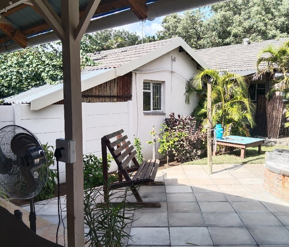 A Traveller's Palm主图