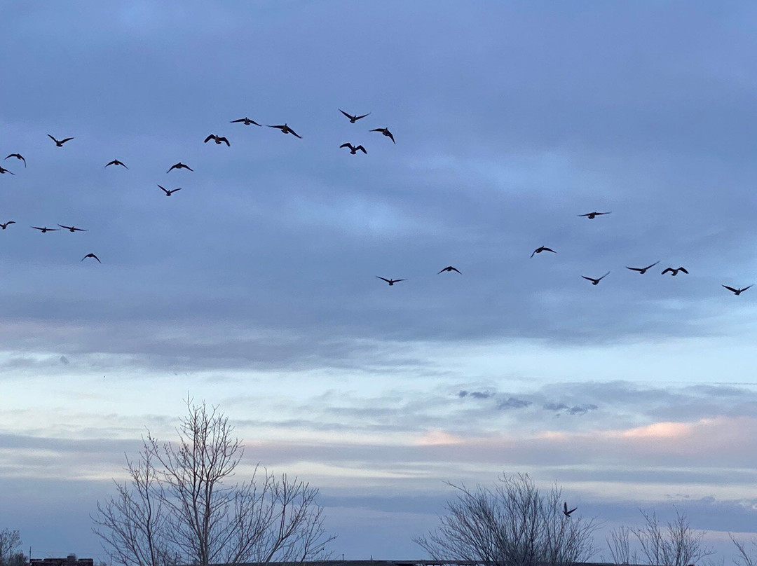 Recreation Park-Pampa必去景点