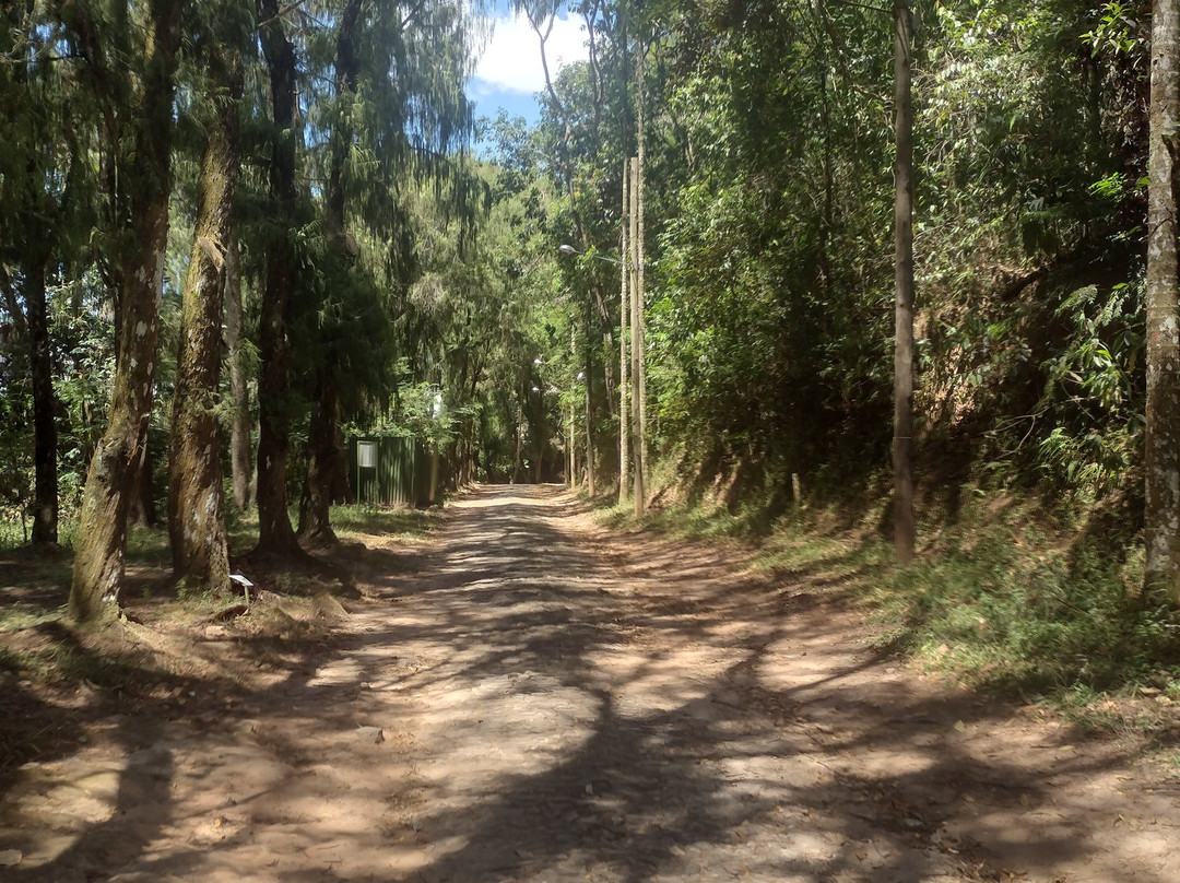 Jardim Botanico UFJF-Juiz de Fora必去景点