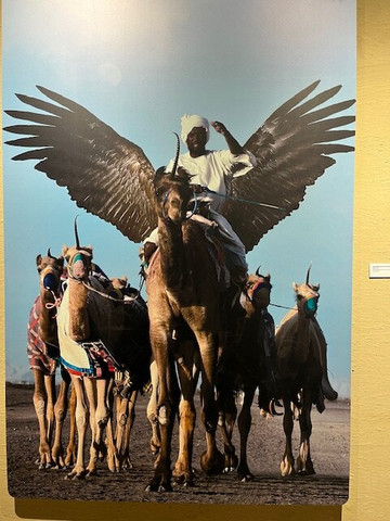 Dadan Tours-阿布扎比必去景点