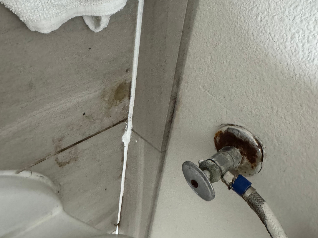 Holiday Inn Express & Suites Charleston-kanawha City By IHG主图