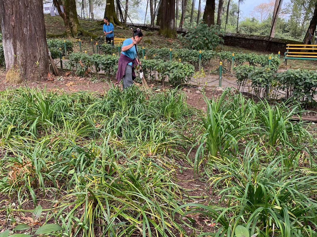 Coronation Throne Of Norbugang-Yuksom必去景点