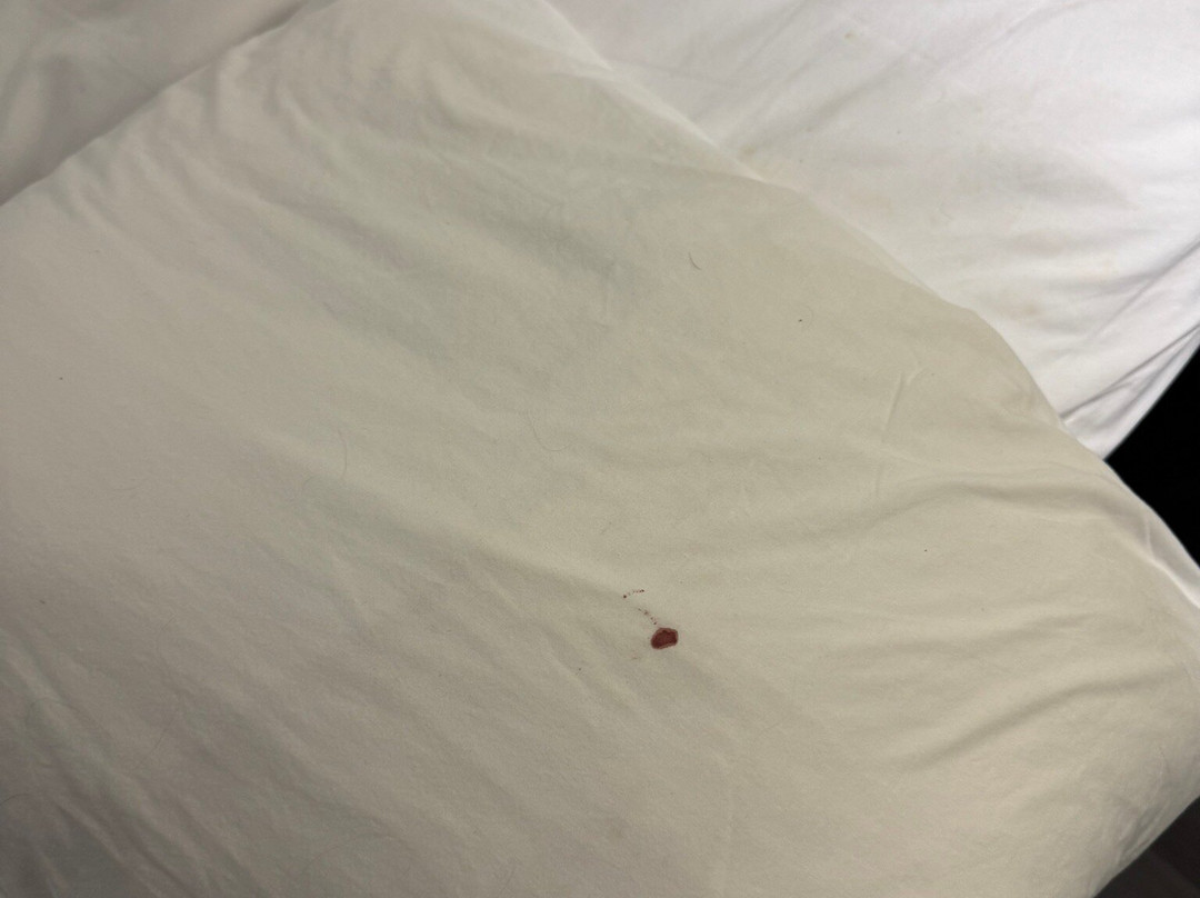 恩波利亚费尔菲尔德客栈主图