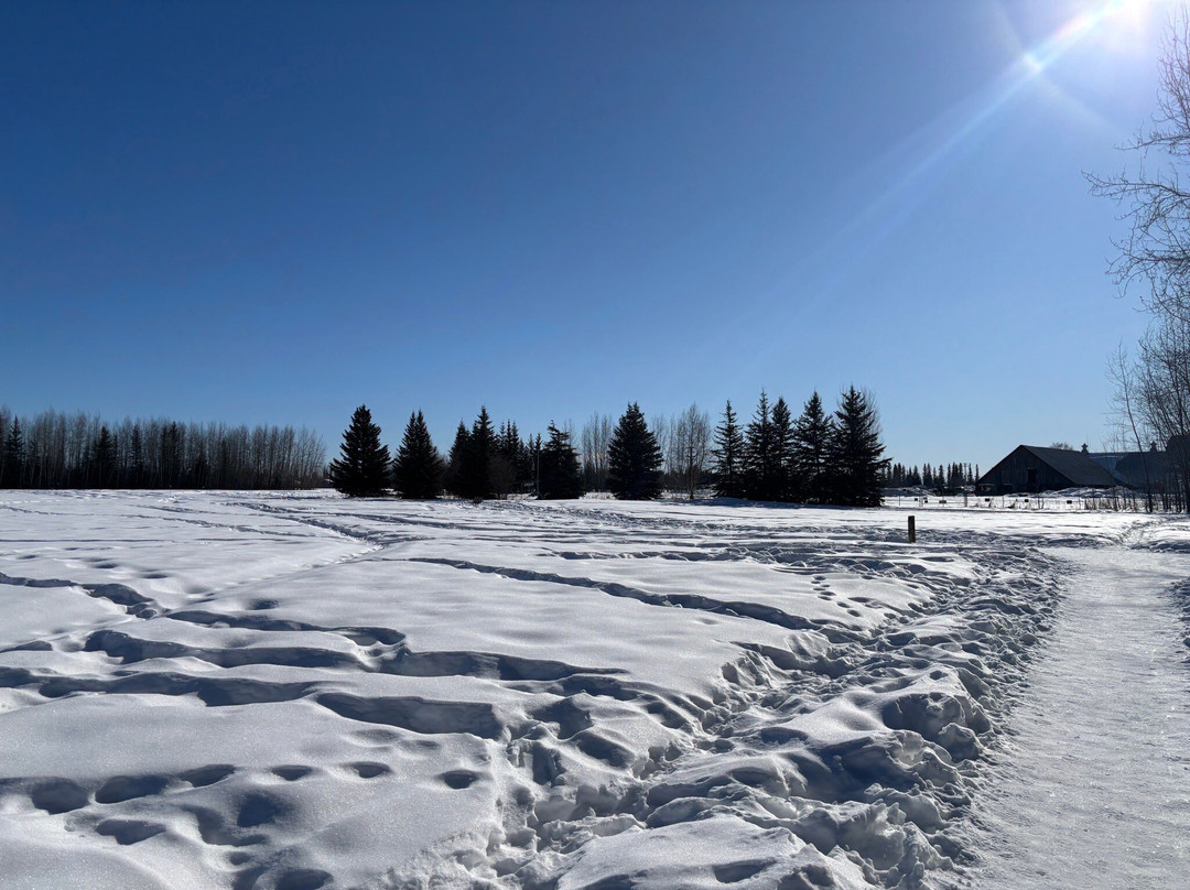 Creamer's Field Migratory Waterfowl Refuge-费尔班克斯必去景点