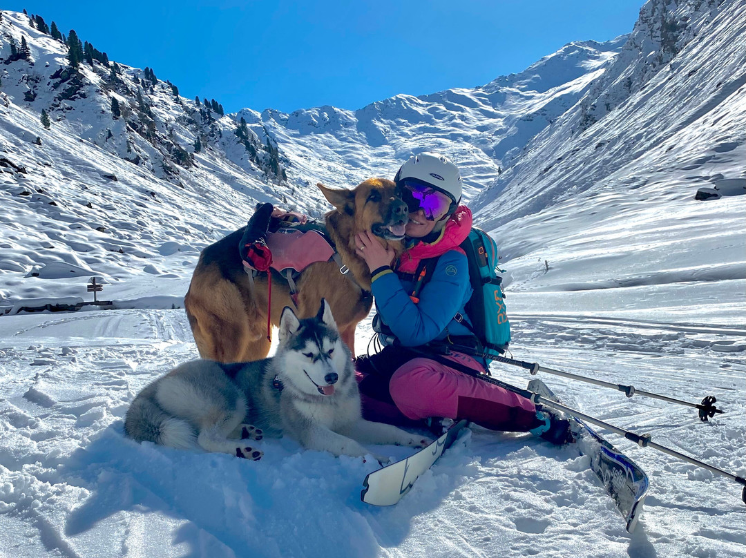 Pension Widmann主图