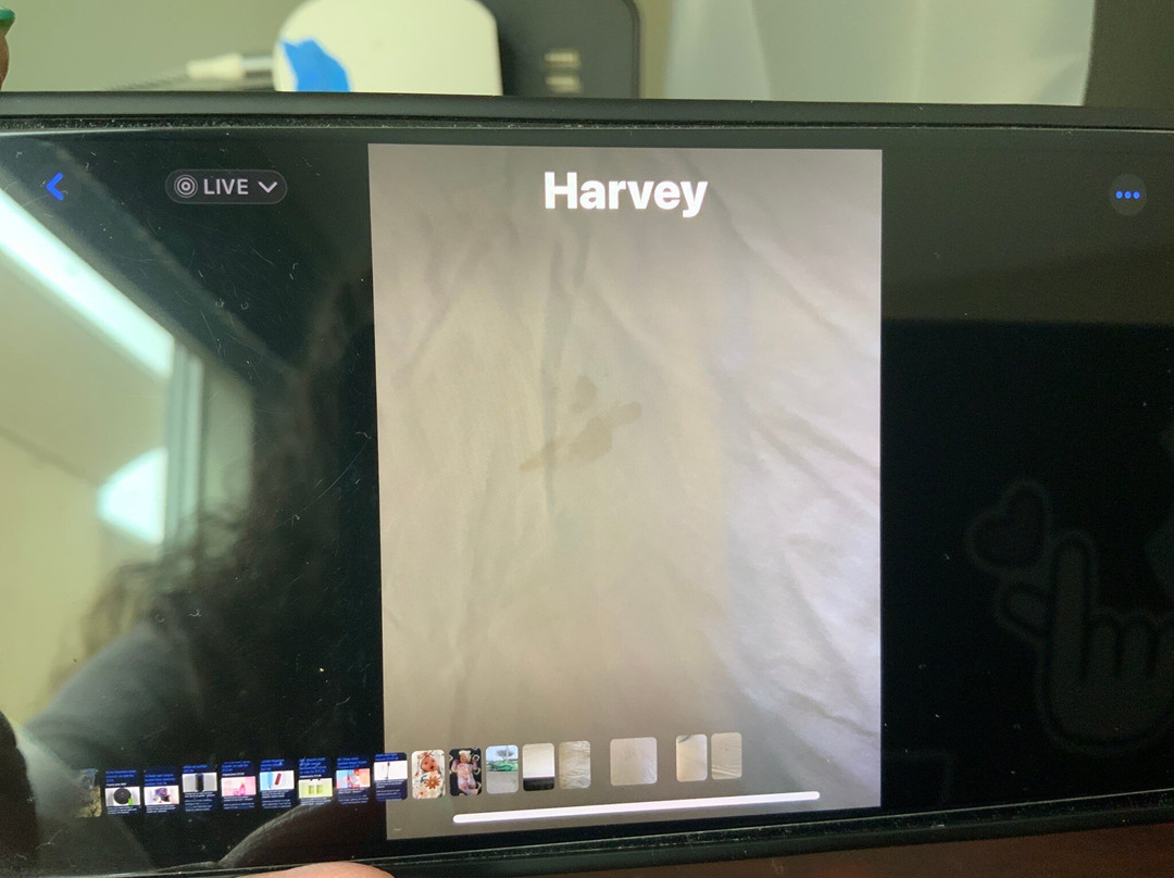 TownePlace Suites by Marriott New Orleans Harvey/West Bank主图