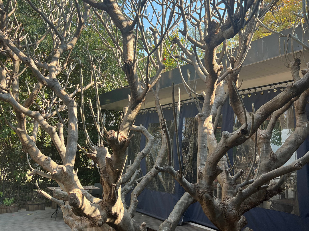 37D Gallery-卢萨卡必去景点