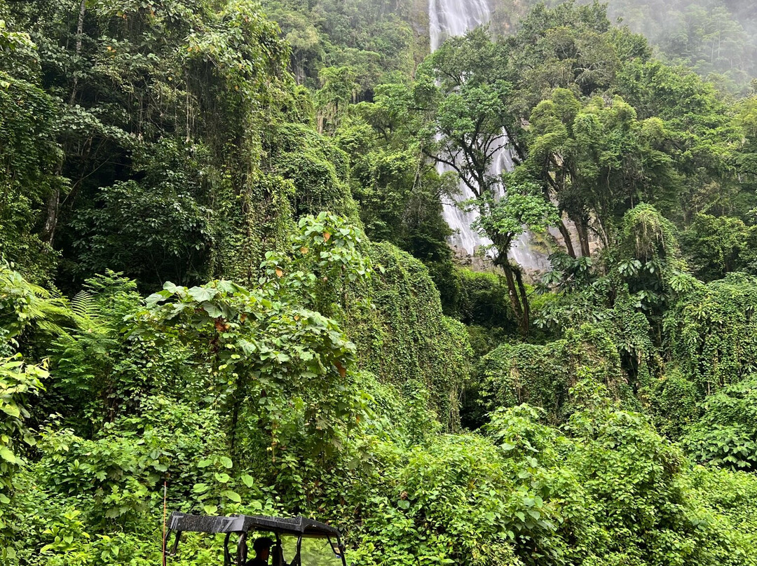 Vista Celestial主图