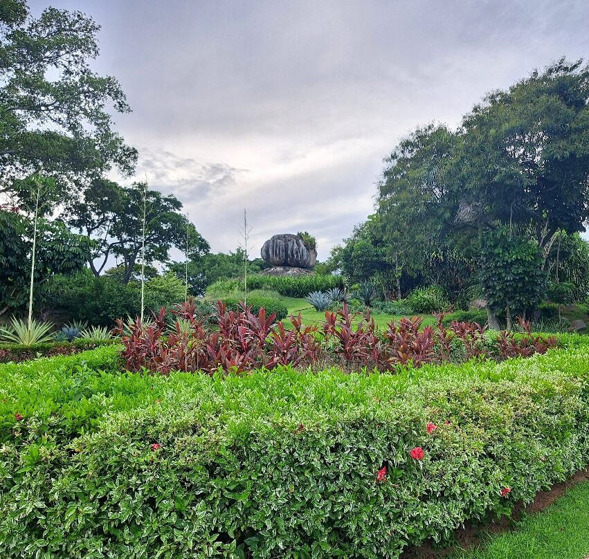 Parque Pedra da Cebola景点图片