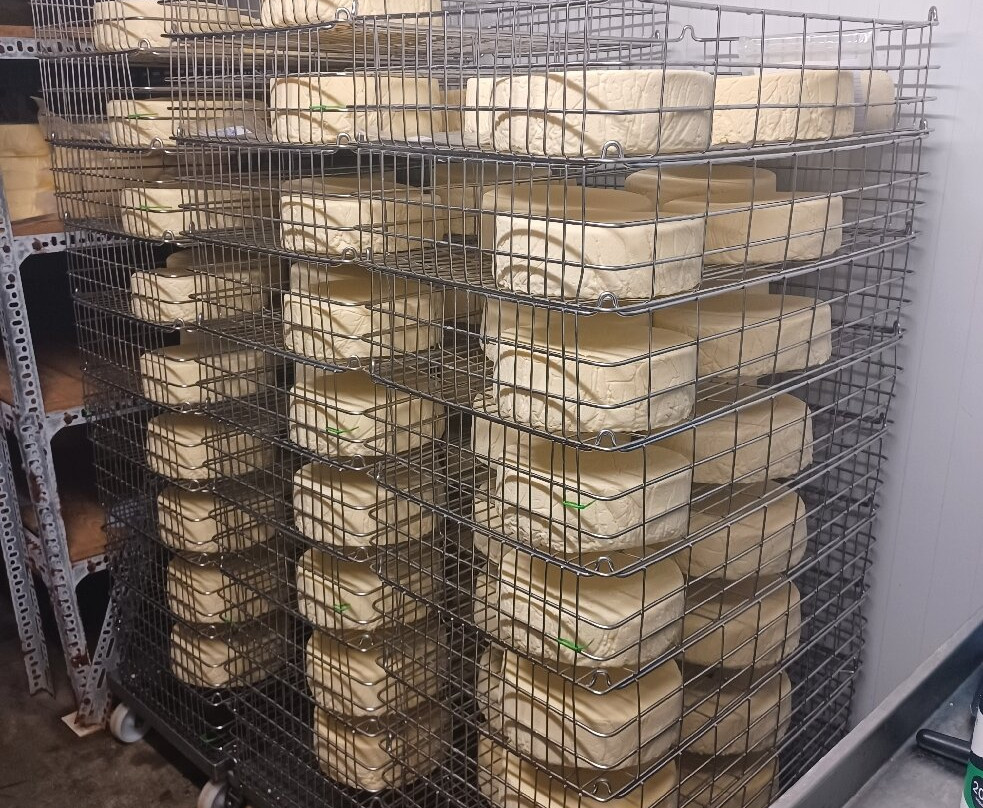 Cheese Tours at Sussex High Weald Dairy景点图片