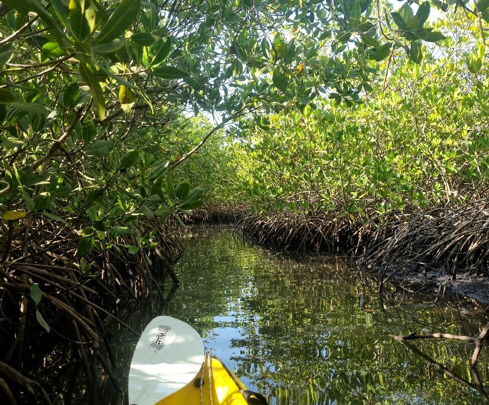 Casamance Vtt-Oussouye必去景点