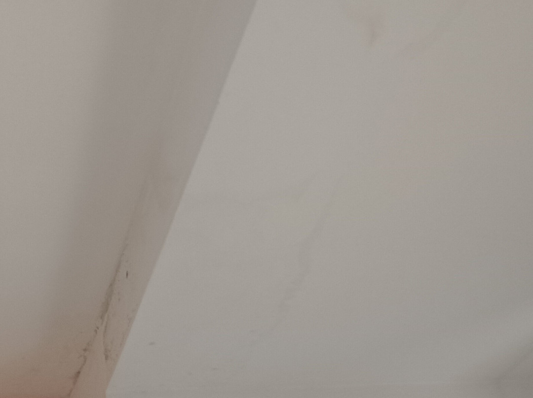 Hotel Numero Uno主图