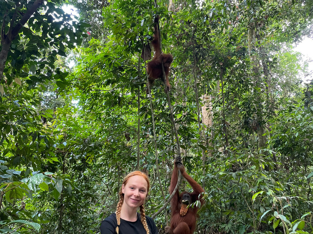 Back to Nature Ecotourism主图