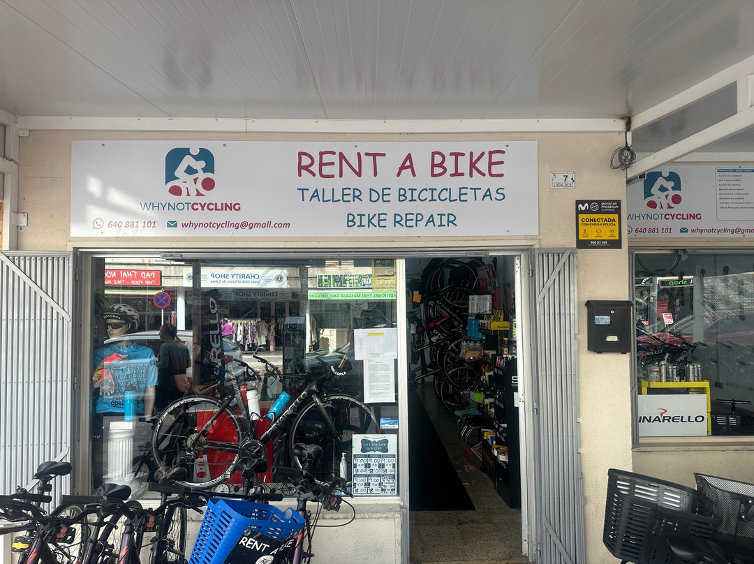 Why Not Cycling-Palmanova必去景点