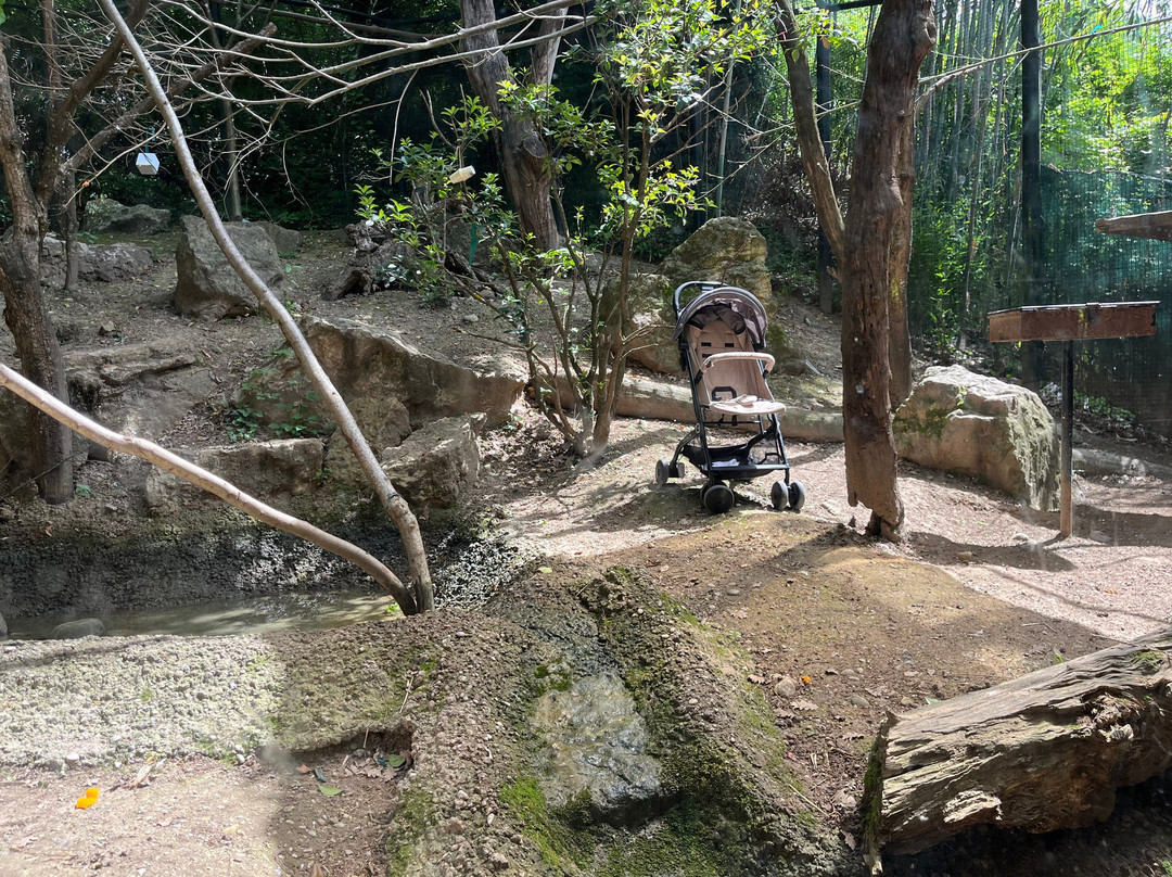 Parco Natura Viva景点图片