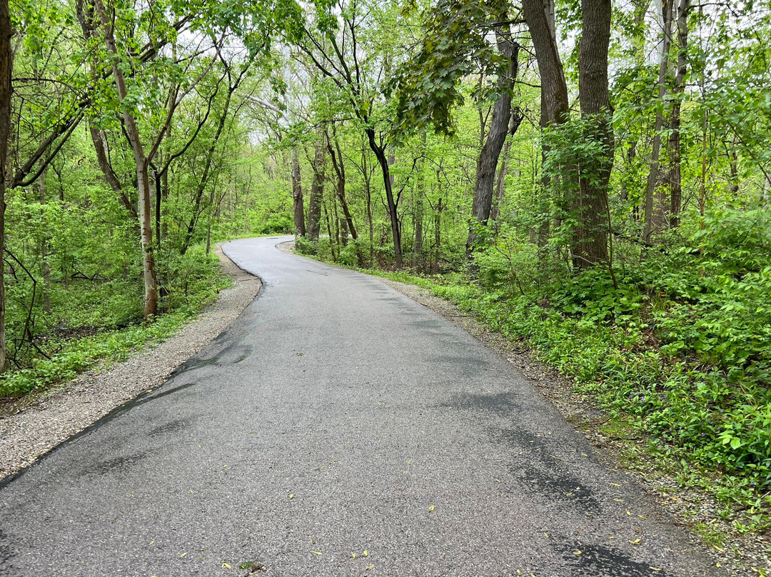 Swan Creek Metropark-托莱多必去景点