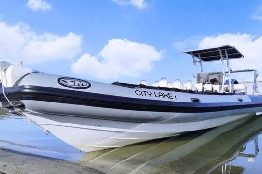 Tours de speedboat (RIB) no rio Tejo – aventura, paisagens incríveis e diversão garantida!