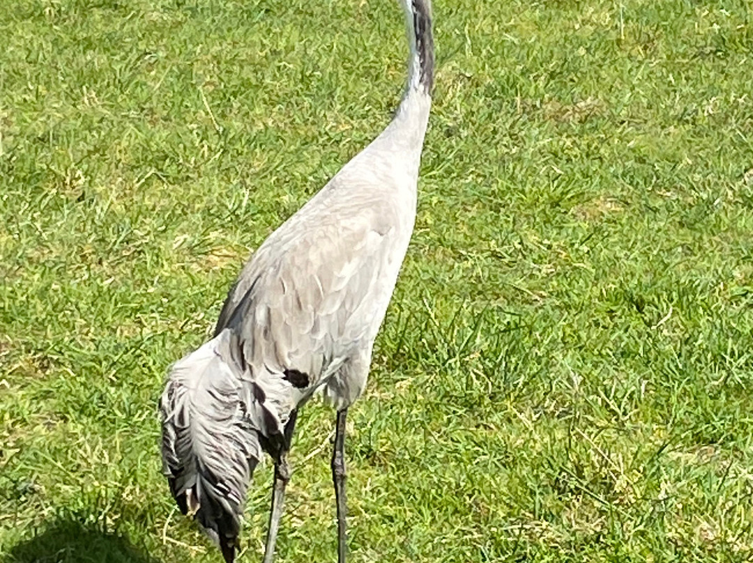 Watatunga Wildlife Reserve景点图片