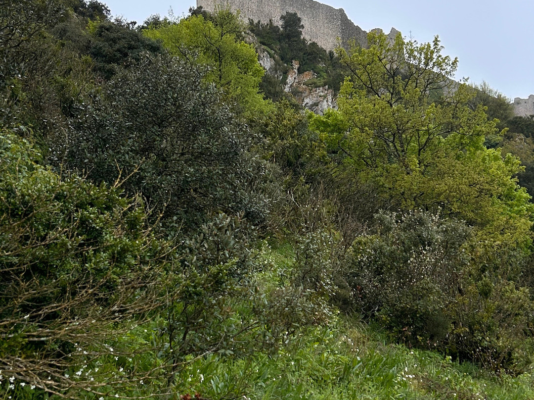 Chateau de Peyrepertuse景点图片