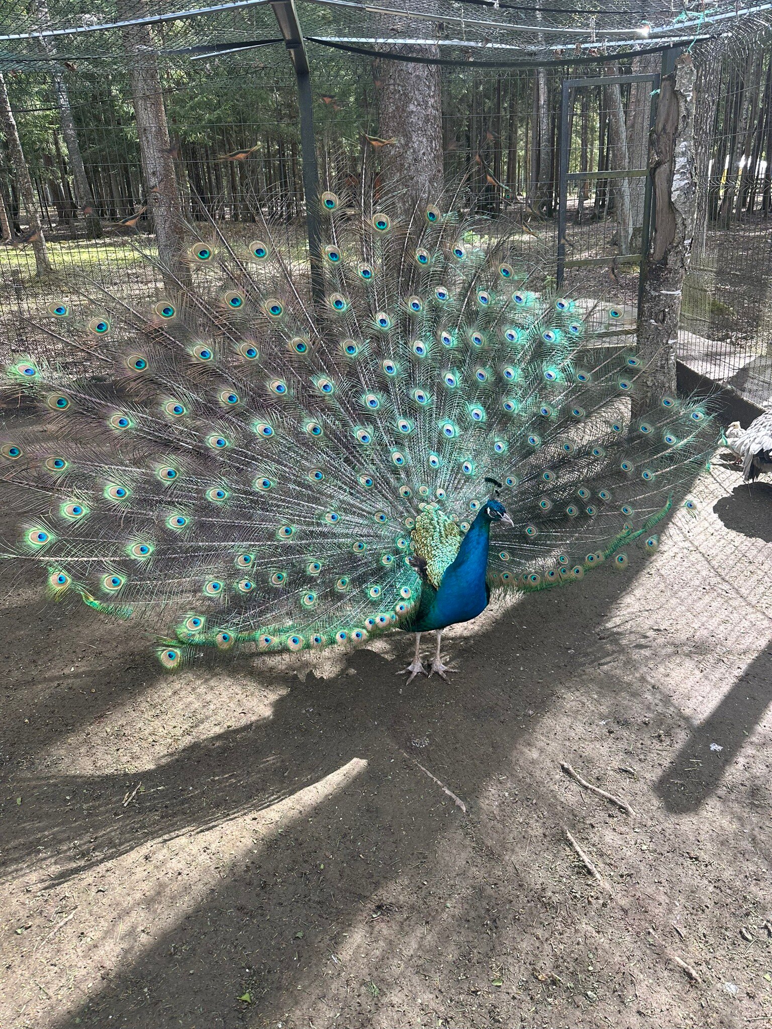 LES Art Resort-官方