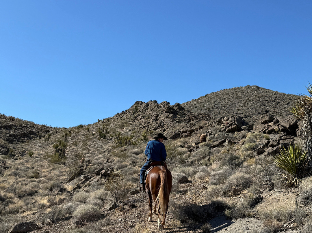 Sandy Valley Ranch-普里姆必去景点