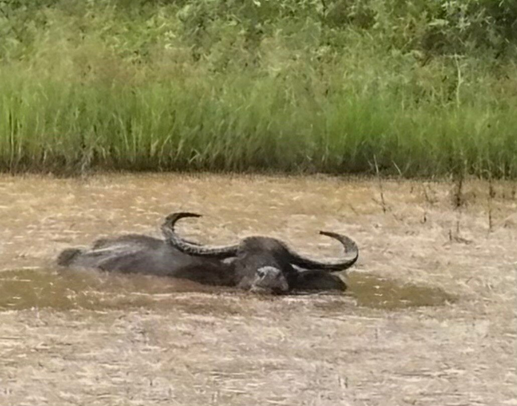 Dilanka Tours-Kurunegala必去景点