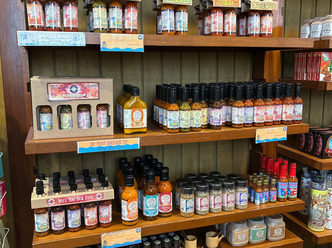 Caribbean Trading Company Store-Palmer必去景点