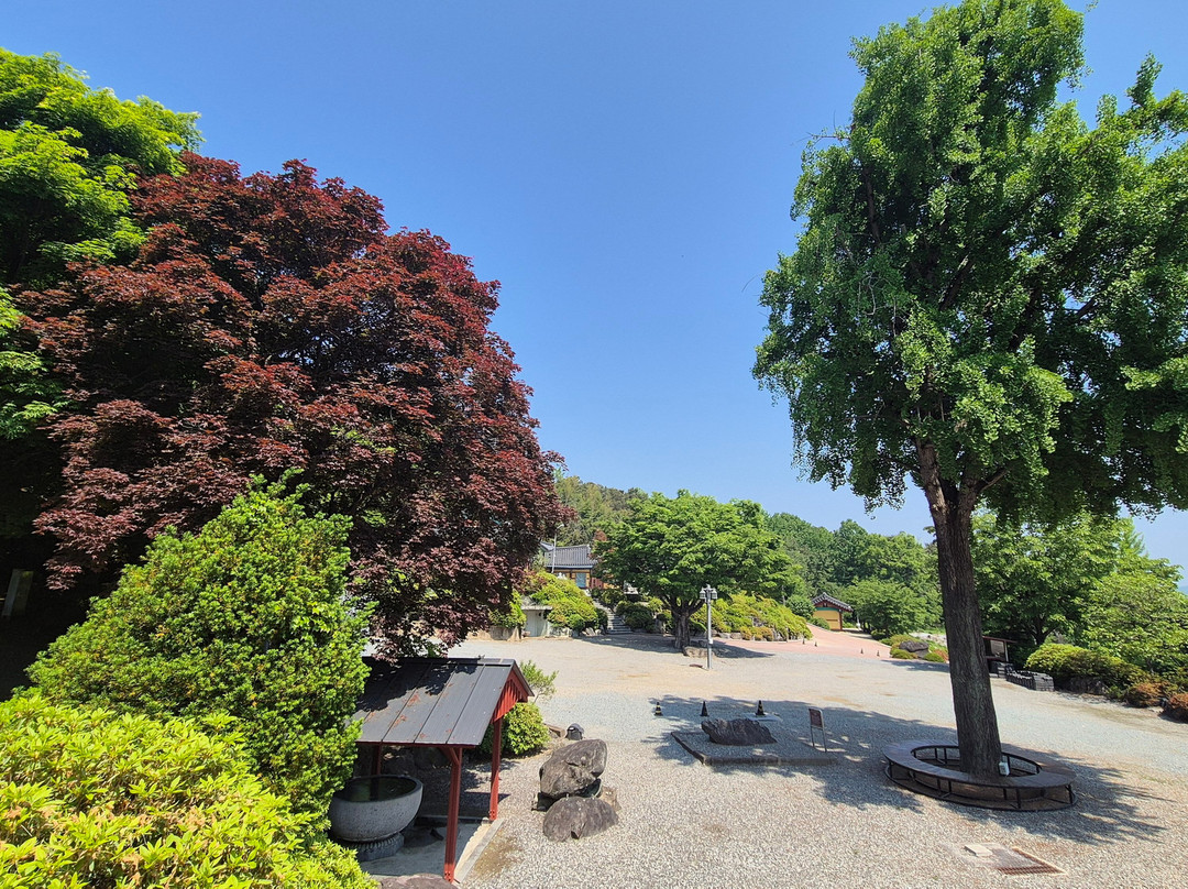 Hwangryongsa Temple-世宗市必去景点