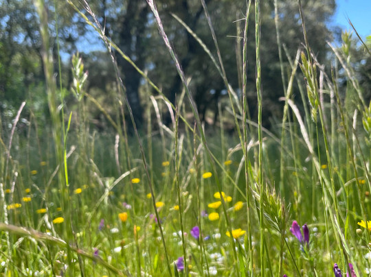 Ecoturismo Monfragüe-卡塞雷斯必去景点