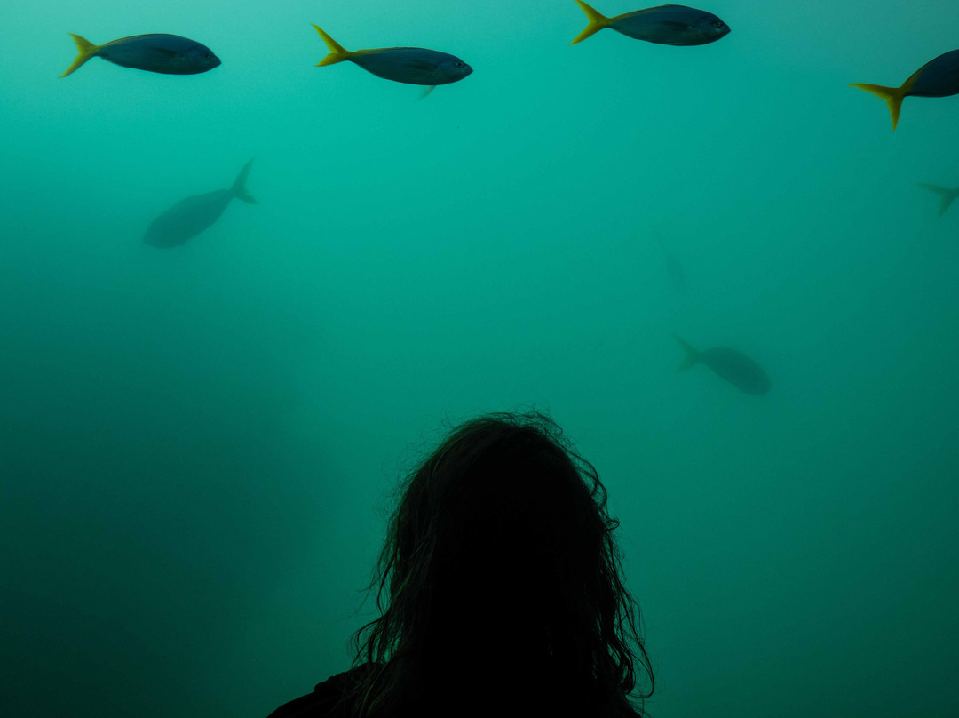 日梦岛温泉度假酒店主图