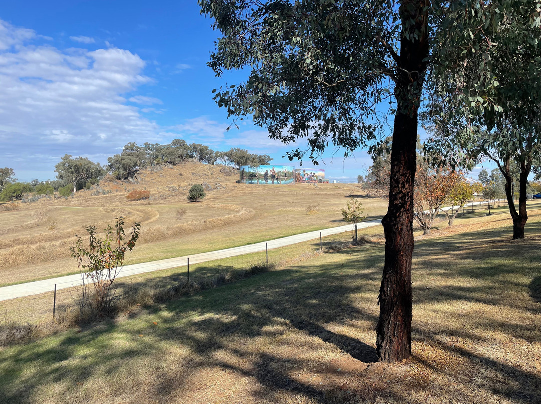 Cowra POW Water Tank Murals景点图片