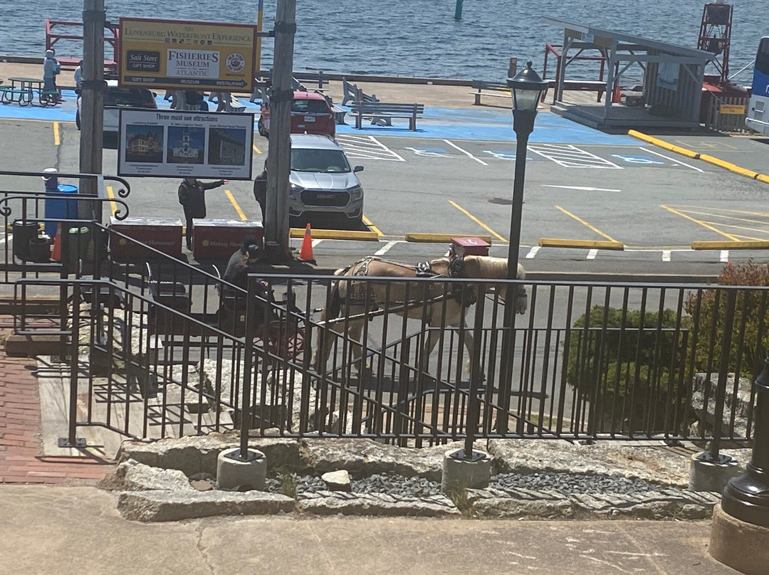 Lunenburg Historic District-卢嫩堡必去景点