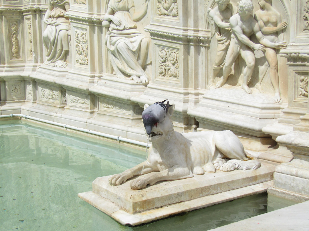 Fonte Gaia-锡耶纳必去景点