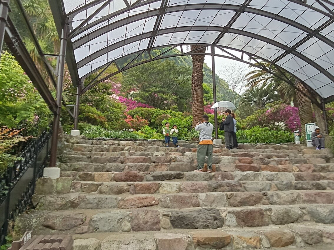 Tatsumaki Jigoku-别府市必去景点