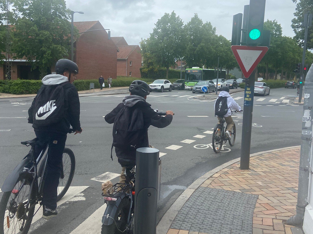 安斯伽胡斯汽车旅馆主图