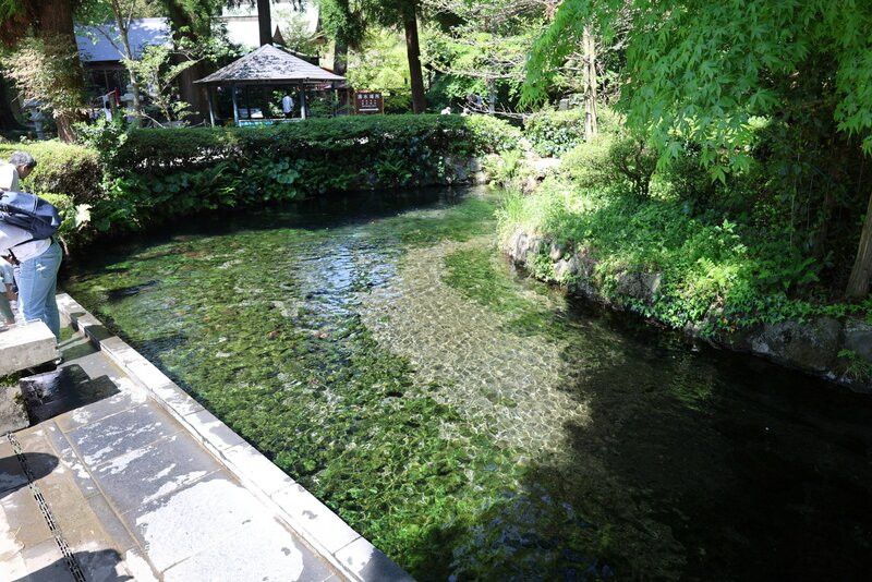 Shirakawa Springs景点图片