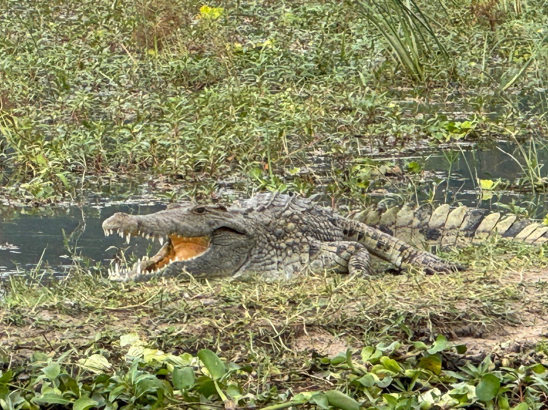 Anake Taxi And Tours Services-里朗威必去景点