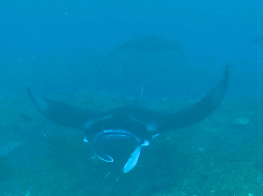 Discover Nusa Penida-珀尼达岛必去景点