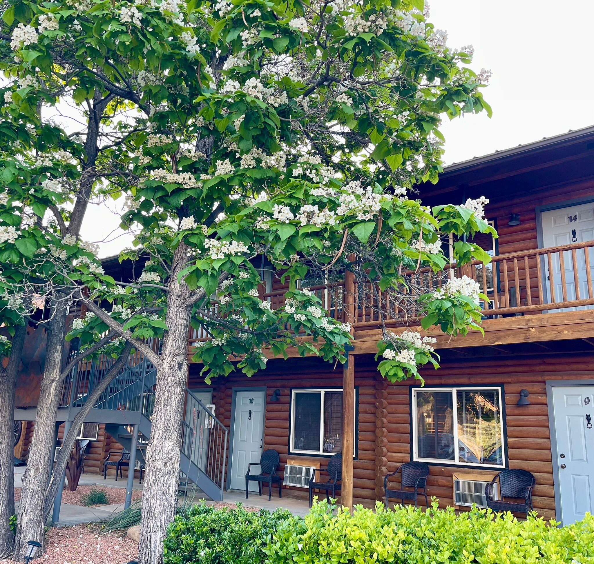 Canyons Lodge - A Canyons Collection Property-官方
