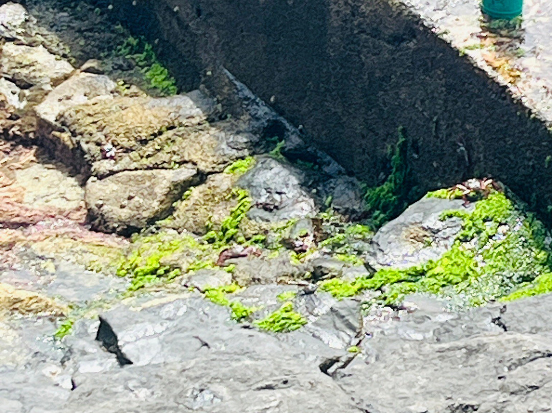 Piscina Natural Acantilado De Los Gigantes景点图片