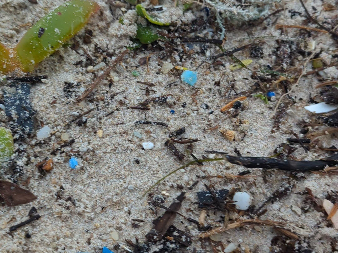 Anvil Beach-丹麦必去景点
