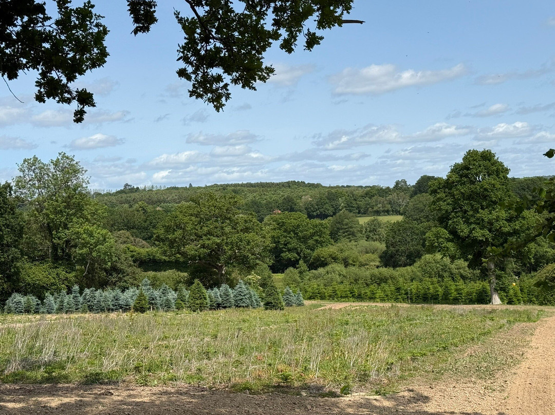 Goddenwick Farm景点图片