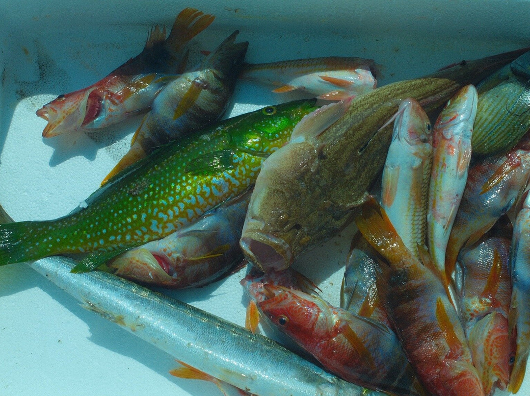 Lemnos Fishing Trips景点图片