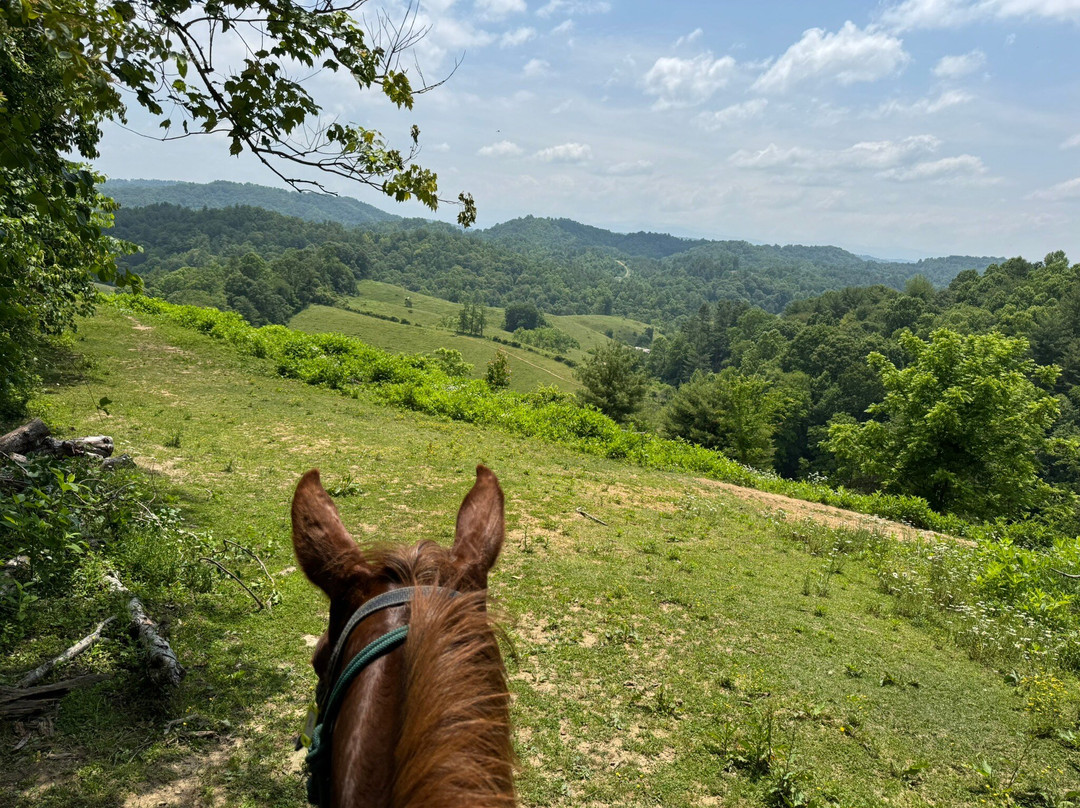 Smoky Mountain Trail Rides and Bison Farm景点图片