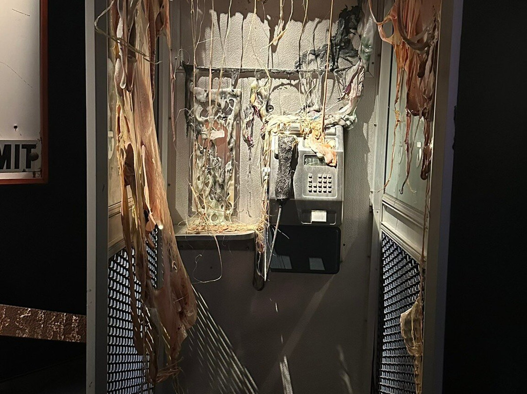 澳大利亚国家博物馆-堪培拉必去景点