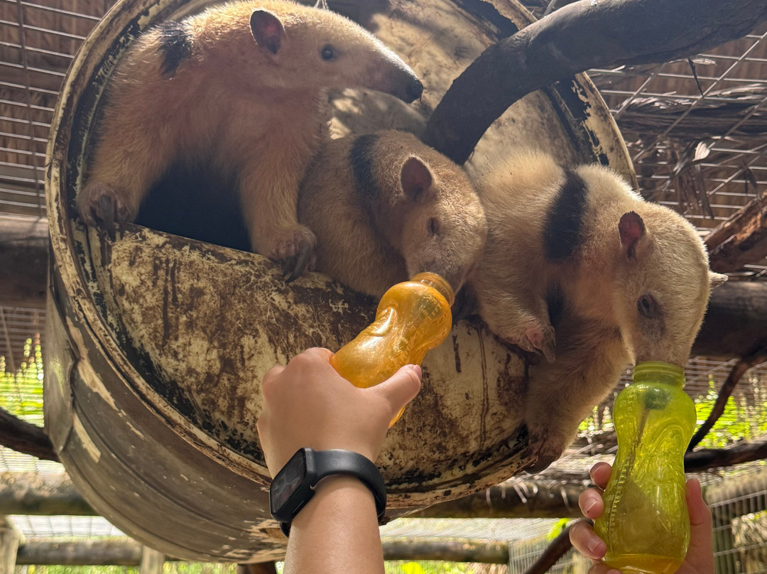 ZWF野生动物园景点图片
