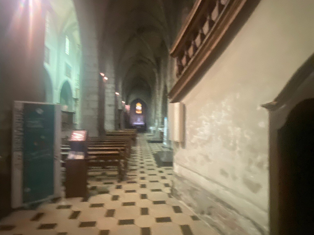 Cathedrale Saint-Pierre-安纳西必去景点