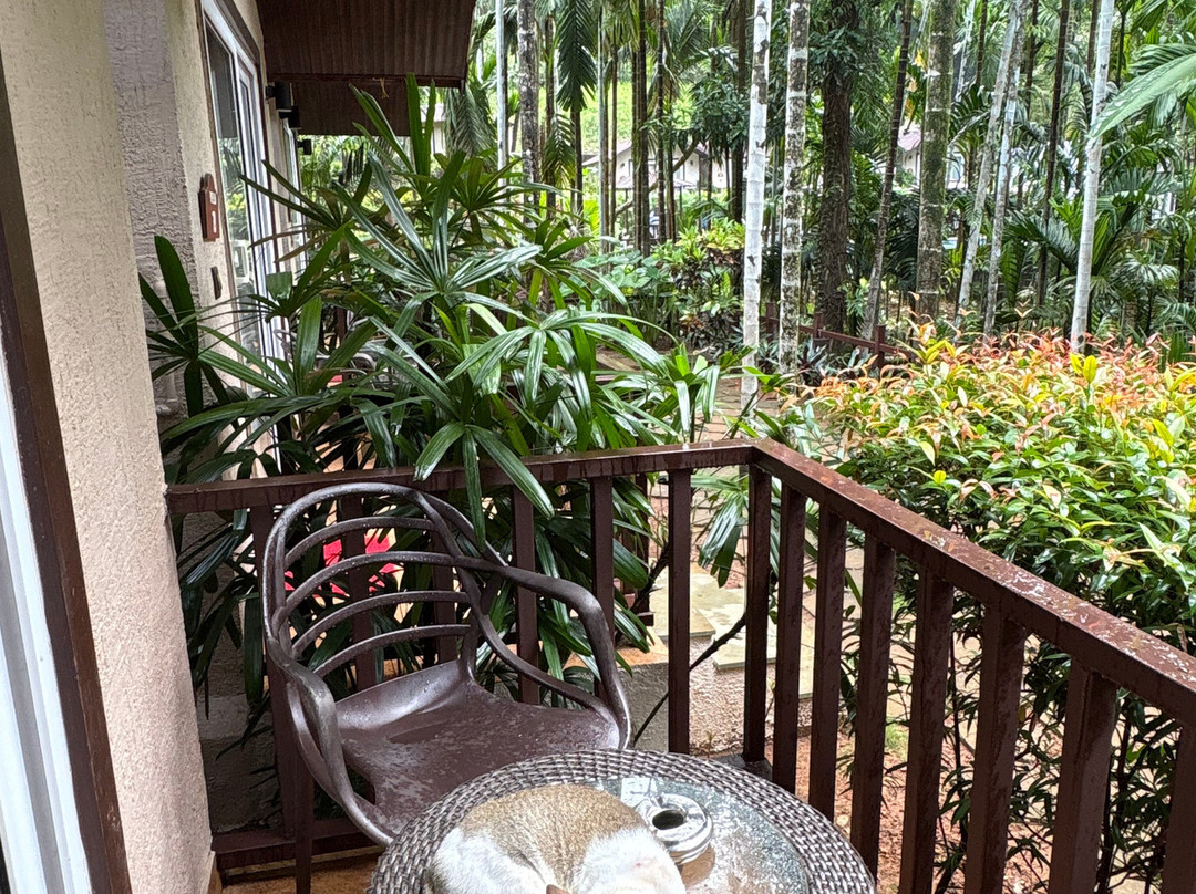 Stone Wood Premier Gokarna主图