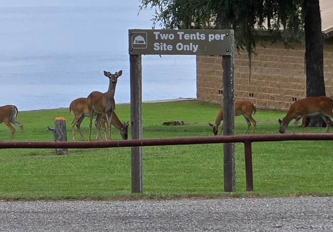 Rocky Creek Park-Burton必去景点